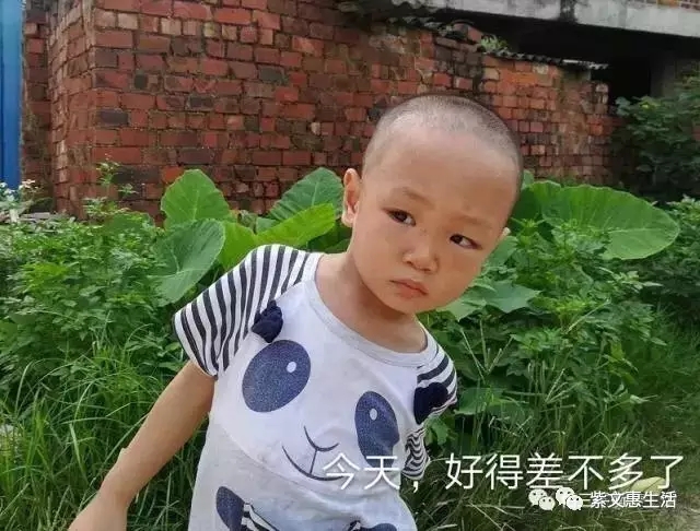 3.webp.jpg