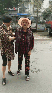 8.gif
