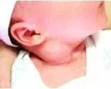 1.webp.jpg