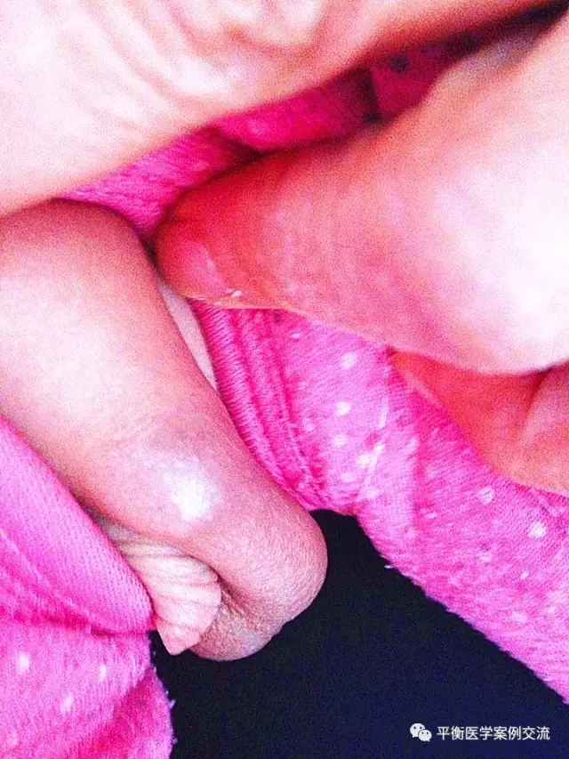 4.webp (1).jpg