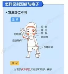 4.webp (1).jpg