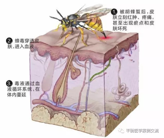 1.webp (1).jpg
