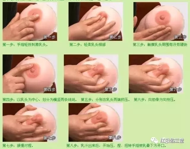 1.webp (1).jpg