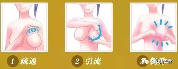2.webp (1).jpg