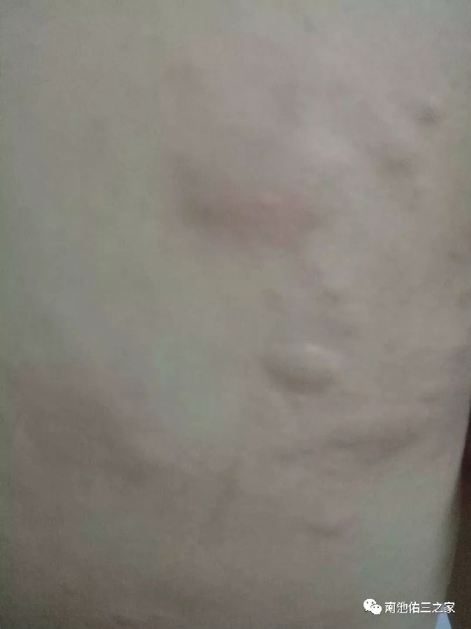 2.webp.jpg