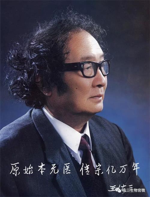 2.webp.jpg