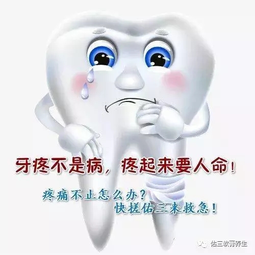 1.webp (1).jpg