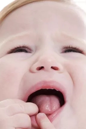 2.webp.jpg