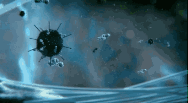1.gif